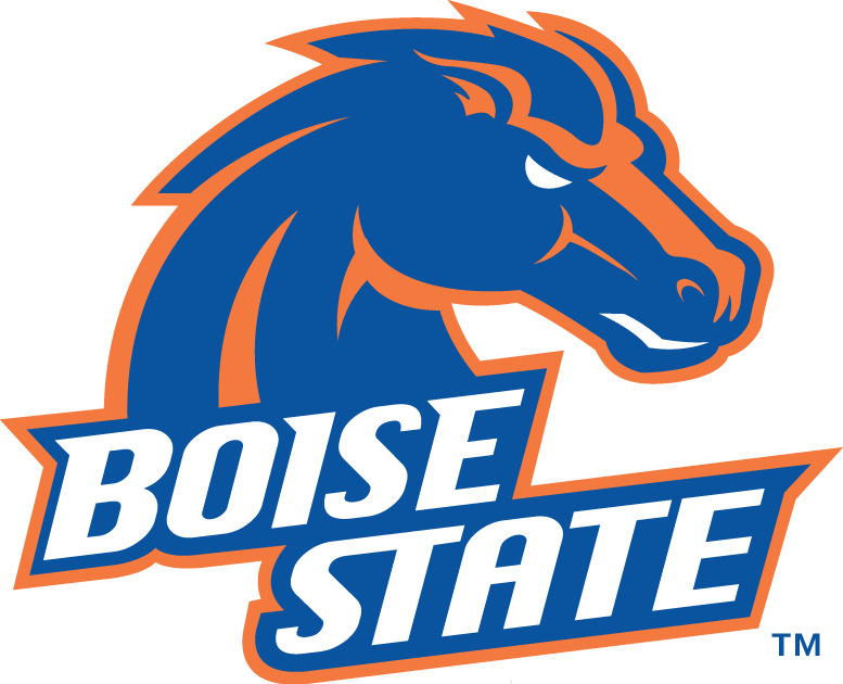 Boise State Broncos 2002-2012 Primary Logo diy iron on heat transfer